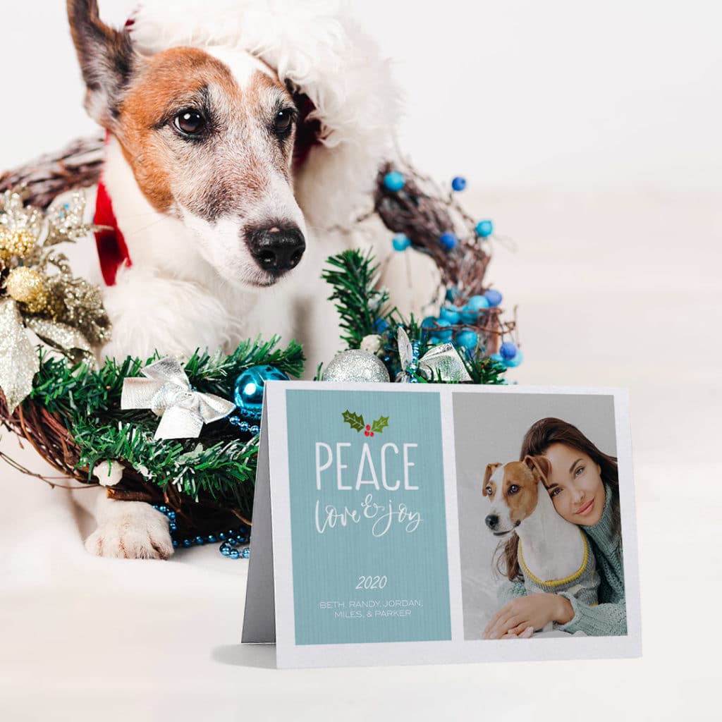dog with wreath behind a propped up christmas card featuring same dog with sweater with woman